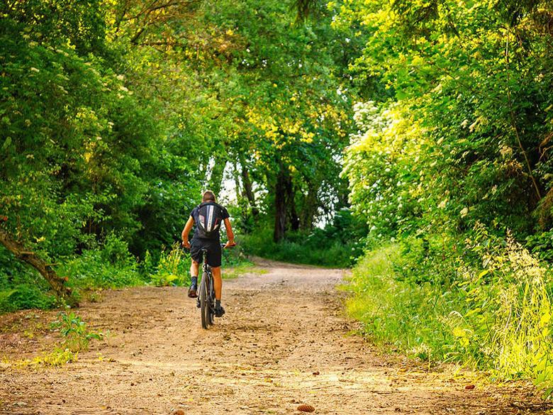 一个人骑着自行车在一条穿过森林的土路上