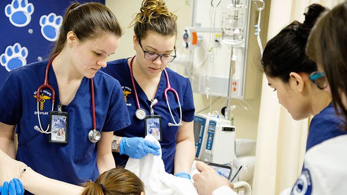 两名护士在临床环境中照顾一名病人